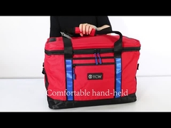 Beach picnic travel companion